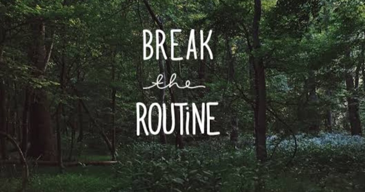 break the routine and experience something new