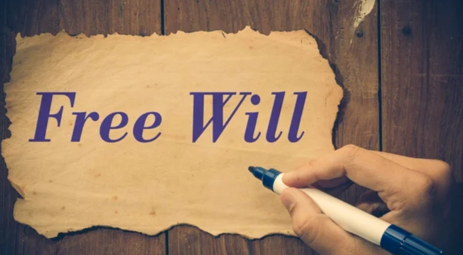 do we really have a free will