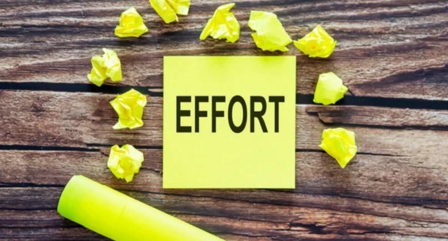 how to put your efforts in the right place